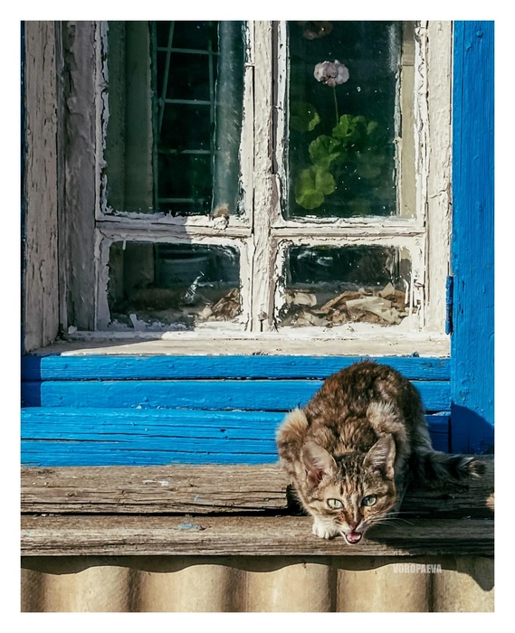 Источник: Юлия Воропаева