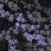 Аватарка Дарья