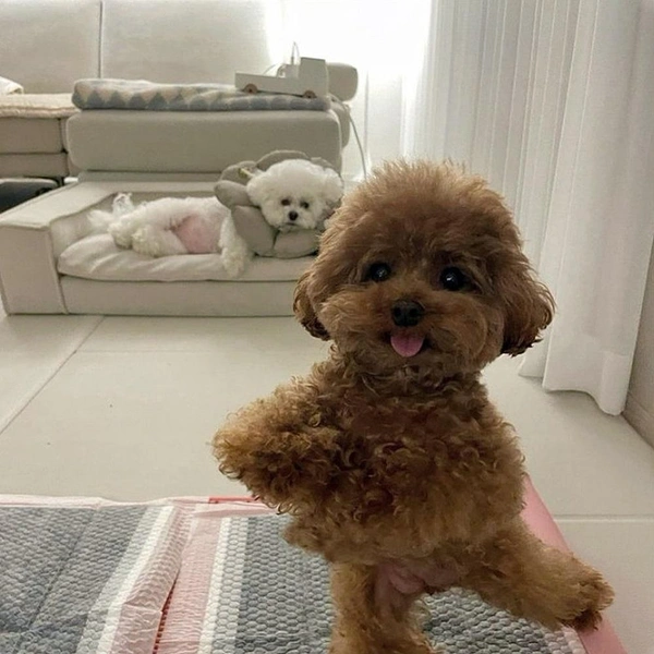 Источник: соцсети