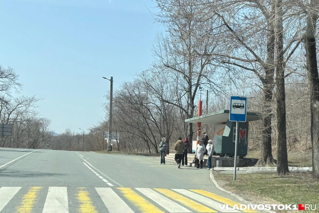 Проблема существует давно | Источник: Елена Буйвол / VLADIVOSTOK1.RU