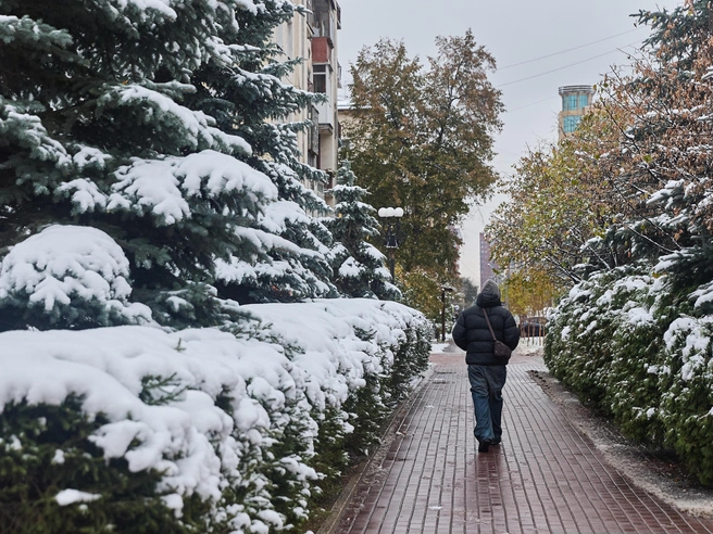 Синоптики не ожидают снегопадов в течение трех суток. | Источник: Александр Ощепков для NGS.RU