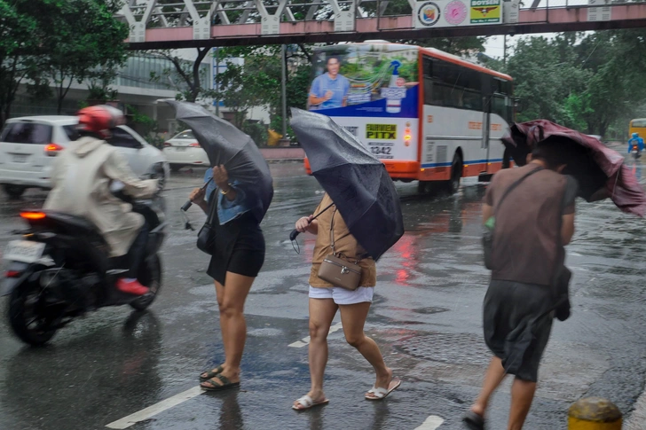 Источник: Matrix Images