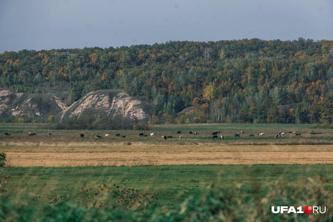 Вид на скалы возле Голубого озера | Источник: Булат Салихов / UFA1.RU