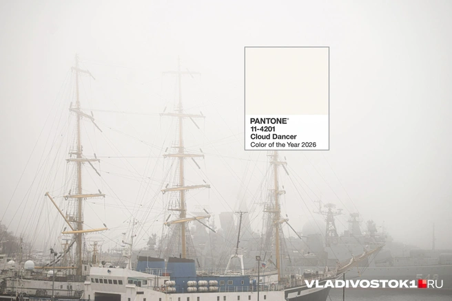 Источник: Елена Буйвол / VLADIVOSTOK1.RU