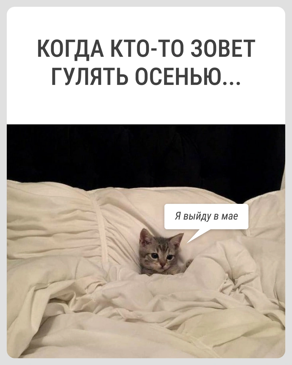 А может быть, и в июне | Источник: Городские медиа