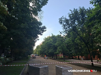 Источник: Алёна Воропаева / Voronezh1.ru