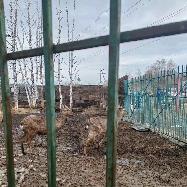 Источник: пресс-служба областной прокуратуры