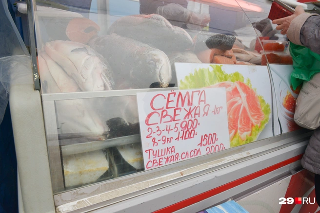 Семга в разных вариациях. Свежая слабосоленая обойдется в 2000 рублей | Источник: Иван Митюшёв