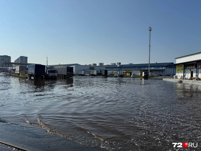 Возле торговых точек немало воды  | Источник: 72.RU 