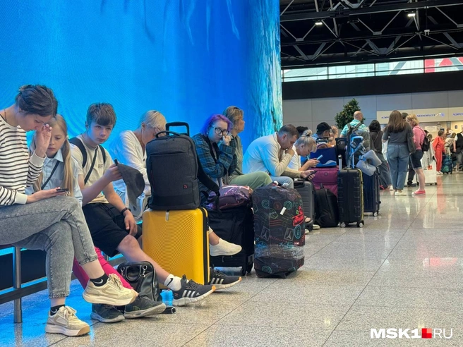 Источник: Михаил Мечев / MSK1.RU