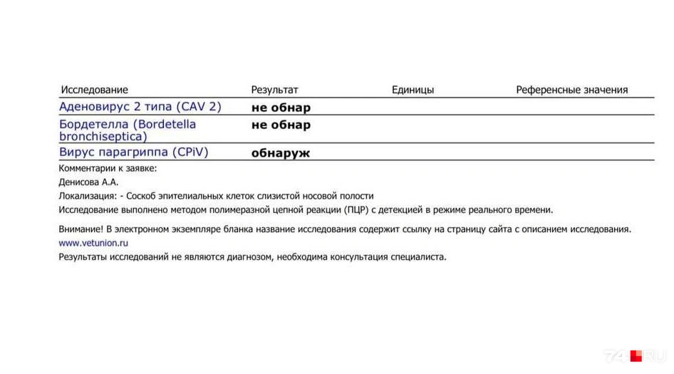 Источник: читатель 74.RU