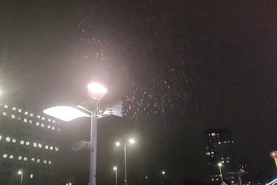 Первый снегопад в Волгограде: прогноз на ближайшие дни