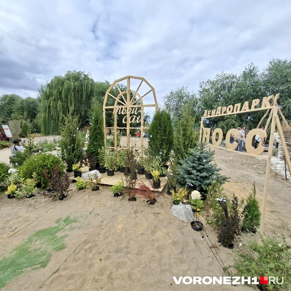 Источник: Алёна Воропаева / Voronezh1.ru