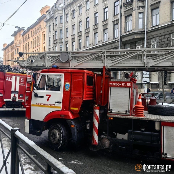 Источник: Ксения Потеева / FONTANKA.RU