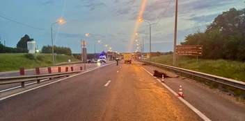 Источник: УМВД по Рязанской области