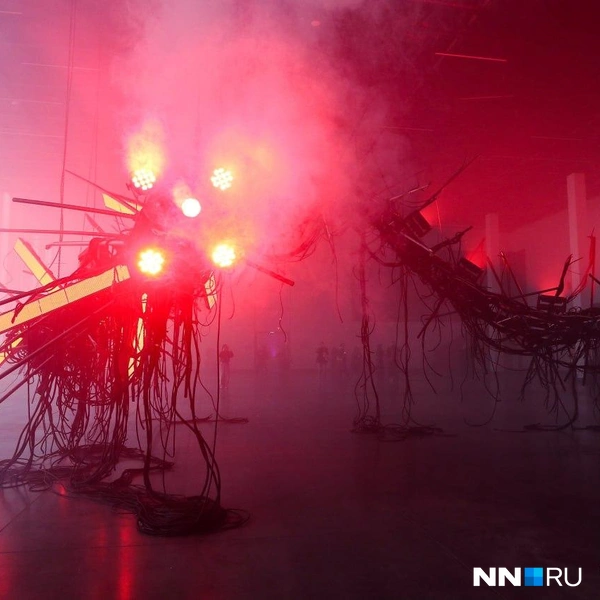 Источник: Наталья Бурухина / NN.RU