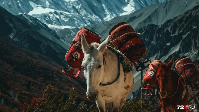 Источник: Екатерина Бурко