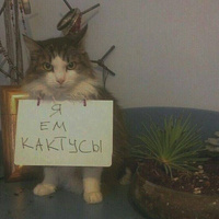 Аватарка Имя Фамилия