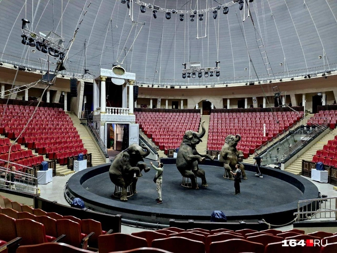 Каждый слоник знает свое место | Источник: Виктория Федорова / 164.RU