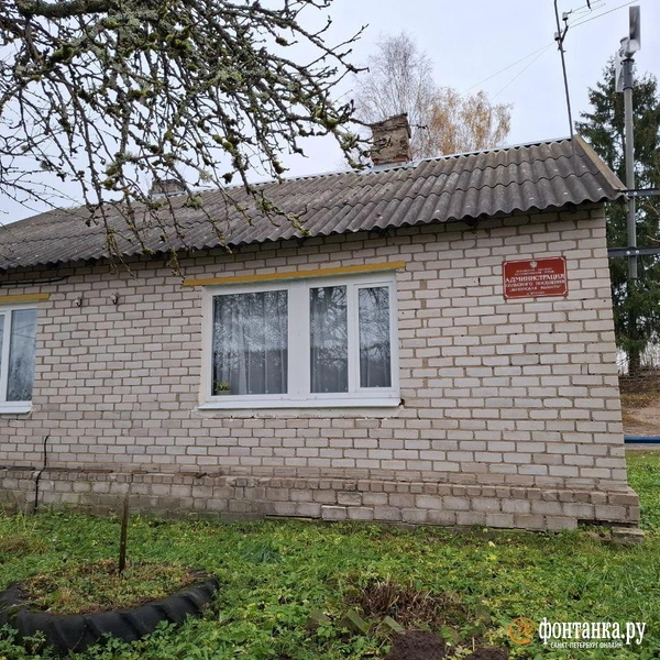 Источник: Ирина Багликова / «Фонтанка.ру»