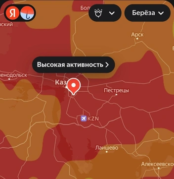 Прогноз пыления березы на 28 апреля  | Источник: yandex.ru
