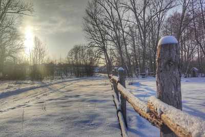 Amateur photographer shares frosty snowy shots from a Volgograd hamlet