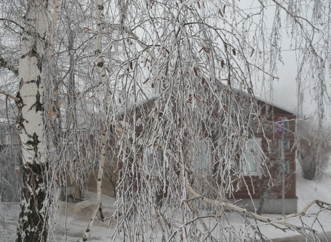 В Рязанской области потеплеет до -12 °С | ya62.ru
