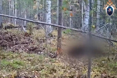В Иркутской области медведи убили двух человек