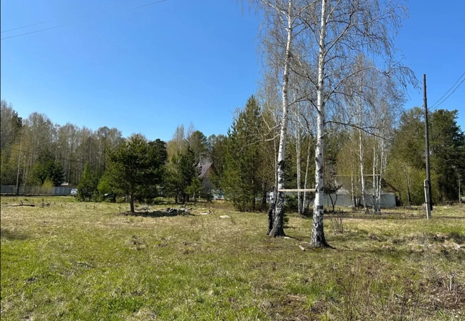 В продаже в поселке Красный — два строящихся дома и два участка под возведение коттеджа по желаниям клиента | Источник: «Загородная недвижимость Урала»