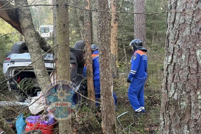 Под Приозерском «Дастер» вылетел в кювет и перевернулся