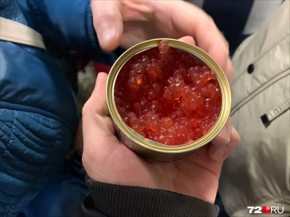 Источник: Никита Кифорук / 72.RU