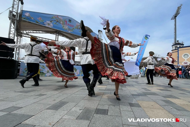 Источник: Елена Буйвол / VLADIVOSTOK1.RU