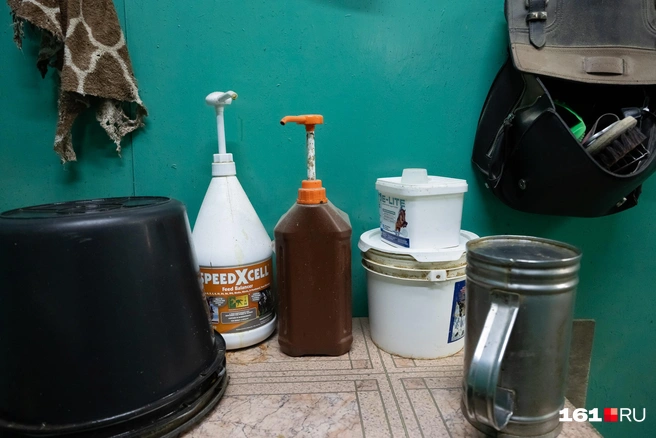 Источник: Евгений Вдовин / 161.RU