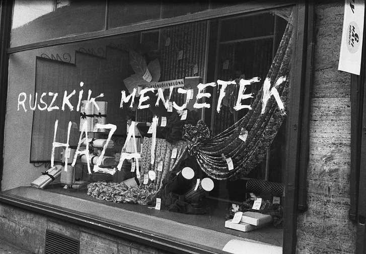 Красная осень 1956 года: причины и последствия Венгерского восстания