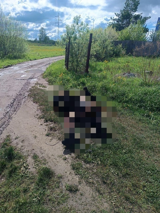 Об обнаружении обгоревшего тела мужчины в экстренные службы сообщили прохожие | Источник: «Шуткин без шуток» / Telegram.org