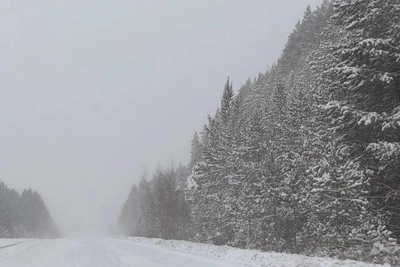 Экстренное предупреждение о непогоде в Свердловской области