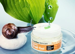 Бьюти-новинка недели: крем Dr Organic Snail Gel