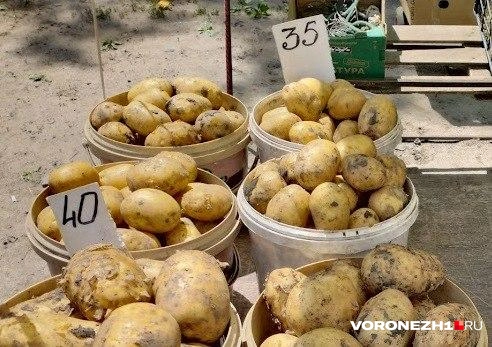 Источник: Евгения Гвозденко / Voronezh1.ru
