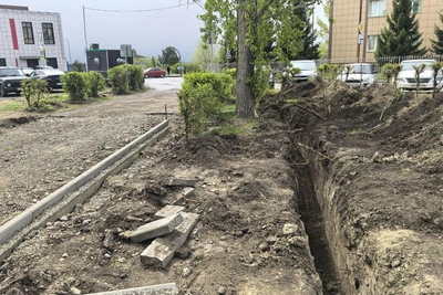 «Часть населения любит ныть»: споры о вырубке в Красноярске
