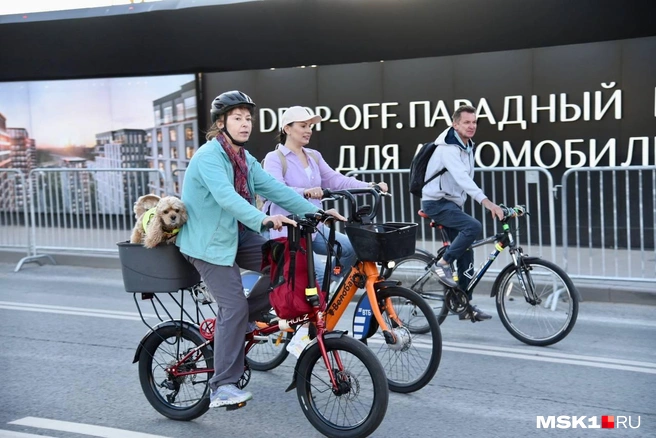 Источник: Дарья Шутова / MSK1.RU