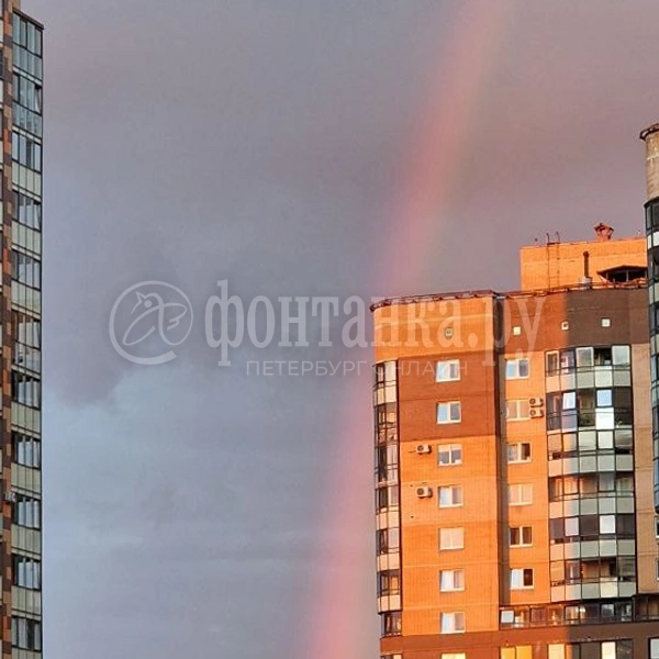 окрестности метро "Звёздная" | Источник: читатель «Фонтанки»