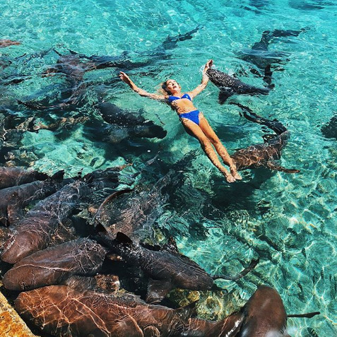 Фото №1 - Акула чуть не съела Instagram-модель во время фотосессии