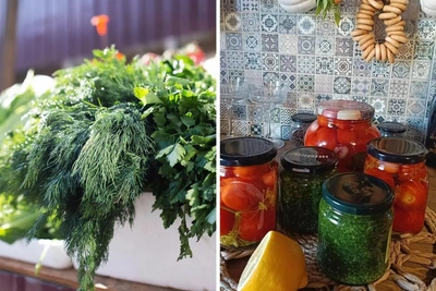 Arkhangelsk Host Shares Herb Preservation Secret
