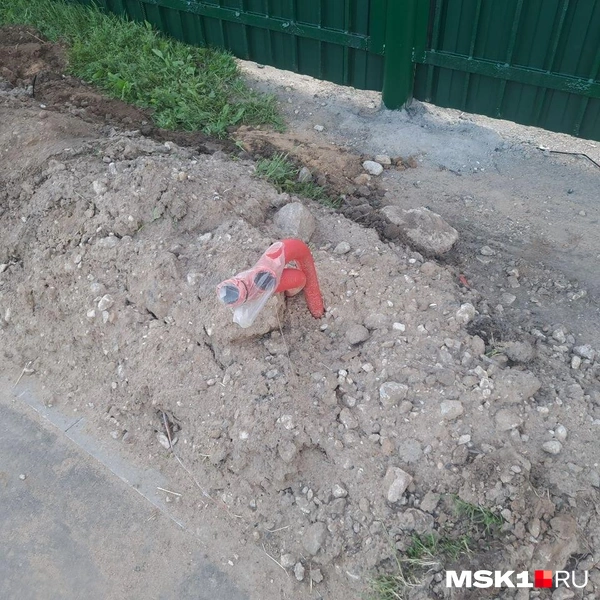 Часть из них убрана в пакеты | Источник: Арина Майорова / MSK1.RU