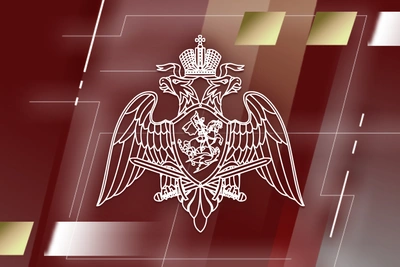 14 единиц оружия изъяли в Псковской области