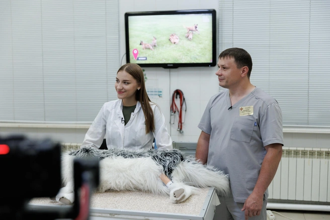 Источник: Ставропольский ГАУ