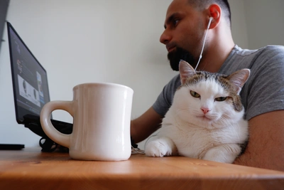 Высокие зарплаты до 250 тыс. рублей в Ярославле