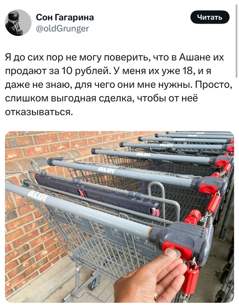 Источник: X (Twitter)