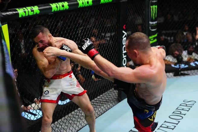 Источник: UFC