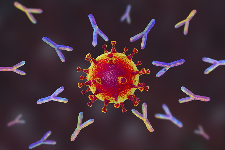Ученые обнаружили следы эпидемии коронавируса, терзавшей жителей Восточной Азии тысячи лет назад
